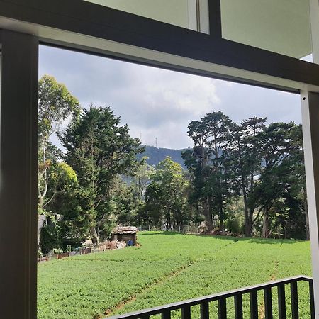 Green Mount View Two Bed Room Apartment Nuwara Eliya Eksteriør bilde
