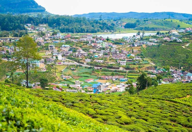 Green Mount View Two Bed Room Apartment Nuwara Eliya Eksteriør bilde