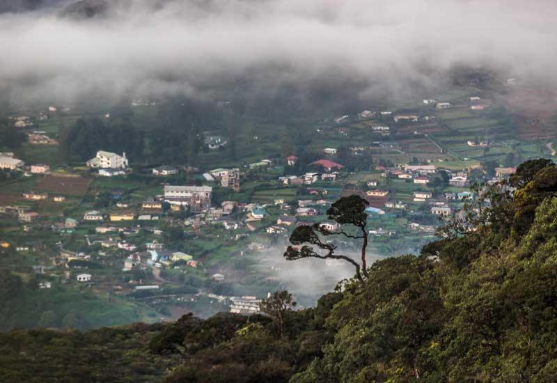 Green Mount View Two Bed Room Apartment Nuwara Eliya Eksteriør bilde