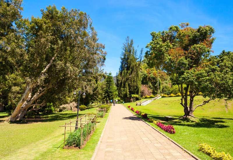 Green Mount View Two Bed Room Apartment Nuwara Eliya Eksteriør bilde