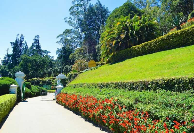 Green Mount View Two Bed Room Apartment Nuwara Eliya Eksteriør bilde